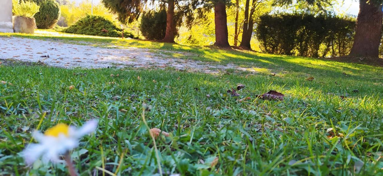 Green House Next - Lovely Apartment For Family And Free Parking Levico Terme Exterior foto