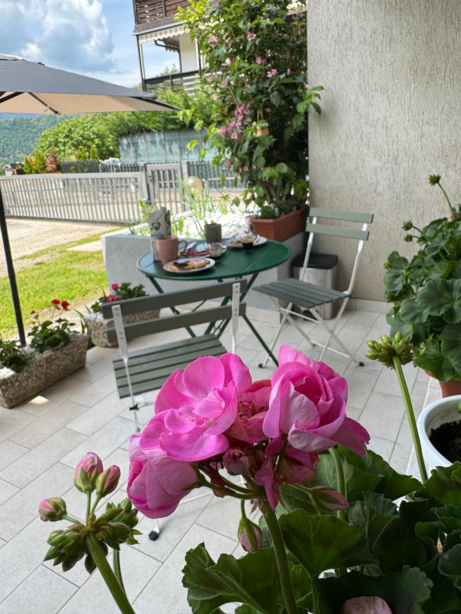 Green House Next - Lovely Apartment For Family And Free Parking Levico Terme Exterior foto