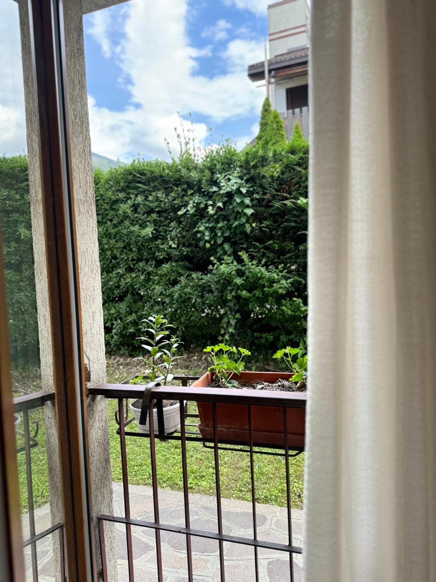 Green House Next - Lovely Apartment For Family And Free Parking Levico Terme Exterior foto